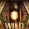relic seekers wild symbol