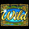 retro gifts wild symbol