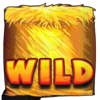 rich cluckin eggs wild 1 symbol