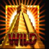 rich n wild wild symbol