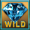 riches for life wild symbol