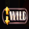 ricky riches expandedwild symbol
