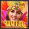 rio fantasia wild symbol