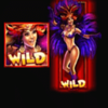rio riches wild symbol