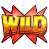 rizk hot 40 symbol wild