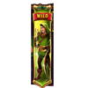 robin hood riches wild symbol