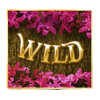 robin hood valentine wild 1 symbol
