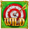 robin hood wild symbol