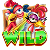 roosters reloaded wild symbol