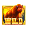 sacred buffalo wild symbol