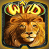 safari stampede wild symbol