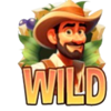 safari treasures wild symbol