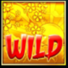 samurai 888 katsumi wild symbol