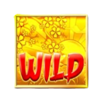 samurai 888 rise kimiko wild symbol