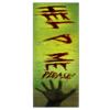 sanatorium secrets green wild symbol