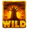 savannah riches oranje jackpot wild symbol
