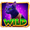 scarab riches 2 spin n hold wild symbol