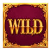 scrooge megaways wild symbol