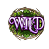 secrets of the forest extreme wild symbol