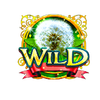secrets of the pixies wild symbol