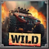 shadowstorm battlegrounds wild symbol