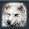 shamans dream wild symbol