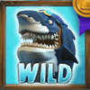 shark meet 1