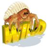 shells and swells wild symbol