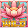shogun princess quest wild symbol