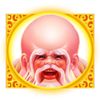 shou xin wild symbol