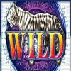 siberian storm wild symbol