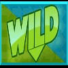 side winder bottom wild symbol