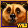 silver creek giant wild symbol