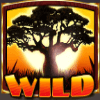 silver lion wild symbol