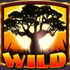 silver pride wild symbol