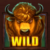 sizzling kingdom bison wild symbol
