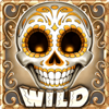 skull bonanza wild orange symbol