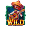 skull carnival wild symbol