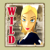 sky barons wild symbol