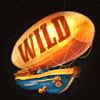 sky hunters wild symbol