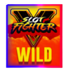 slot fighter wild symbol
