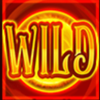 snow coin wild symbol