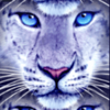 snow leopard leopard symbol