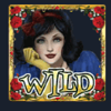 snow wild wild symbol