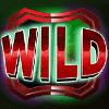 sonic reels wild symbol