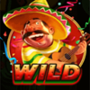 south of the border wild symbol