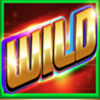 speed king wild 1 symbol