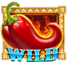 spice spice baby wild symbol