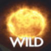 spigo starlight wild2 symbol