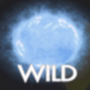 spigo starlight wild symbol